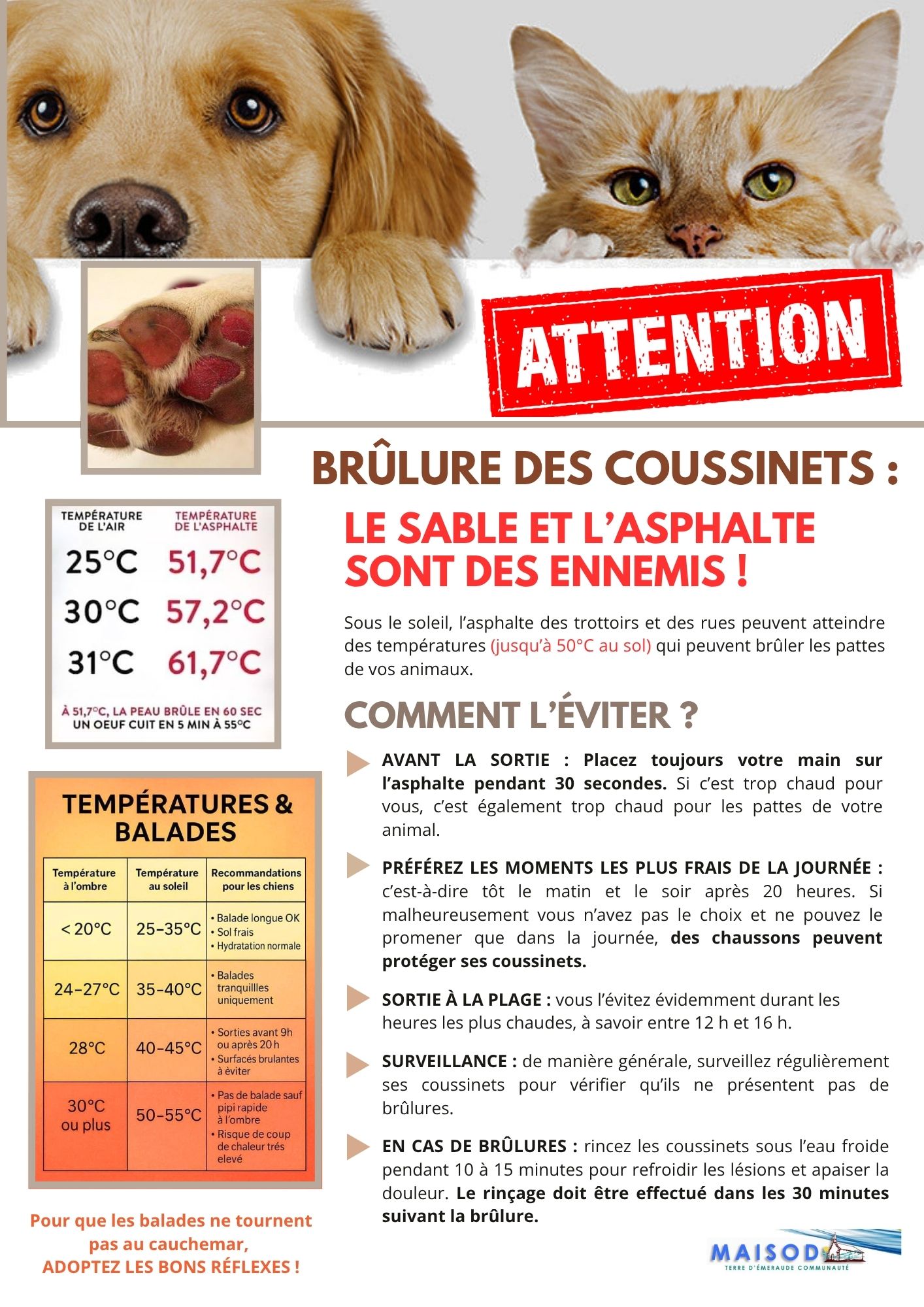 ATTENTION_COUSSINETS.jpg