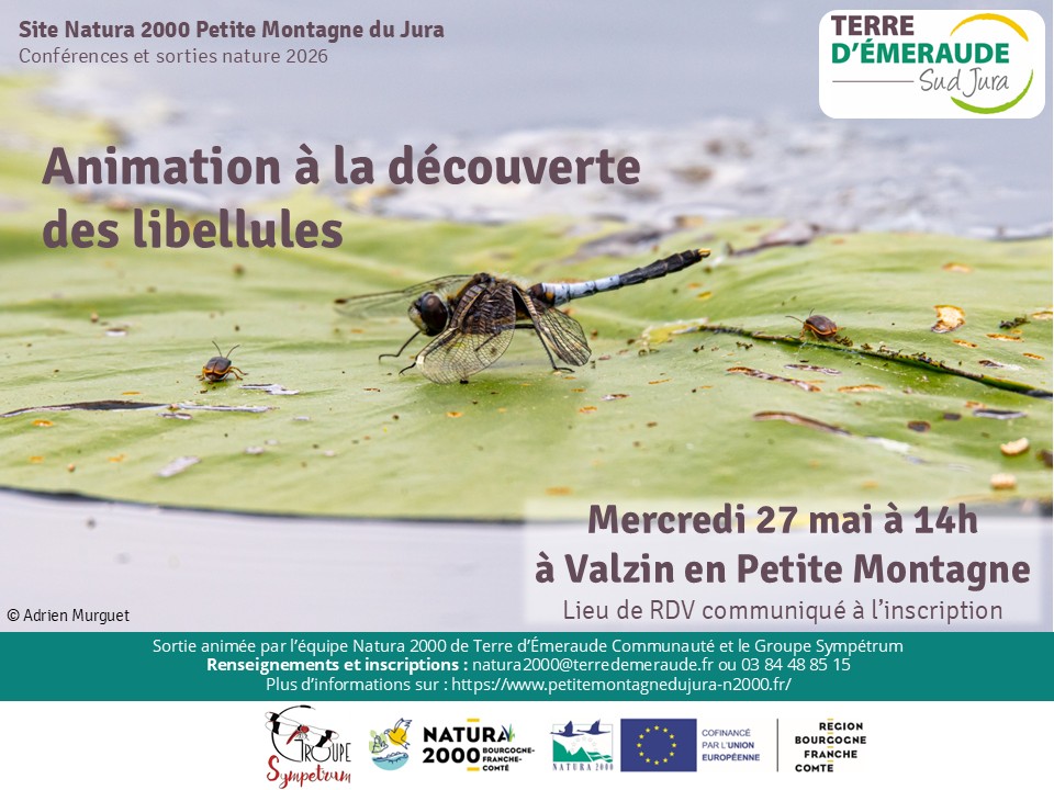 Affiche_TEc.jpg