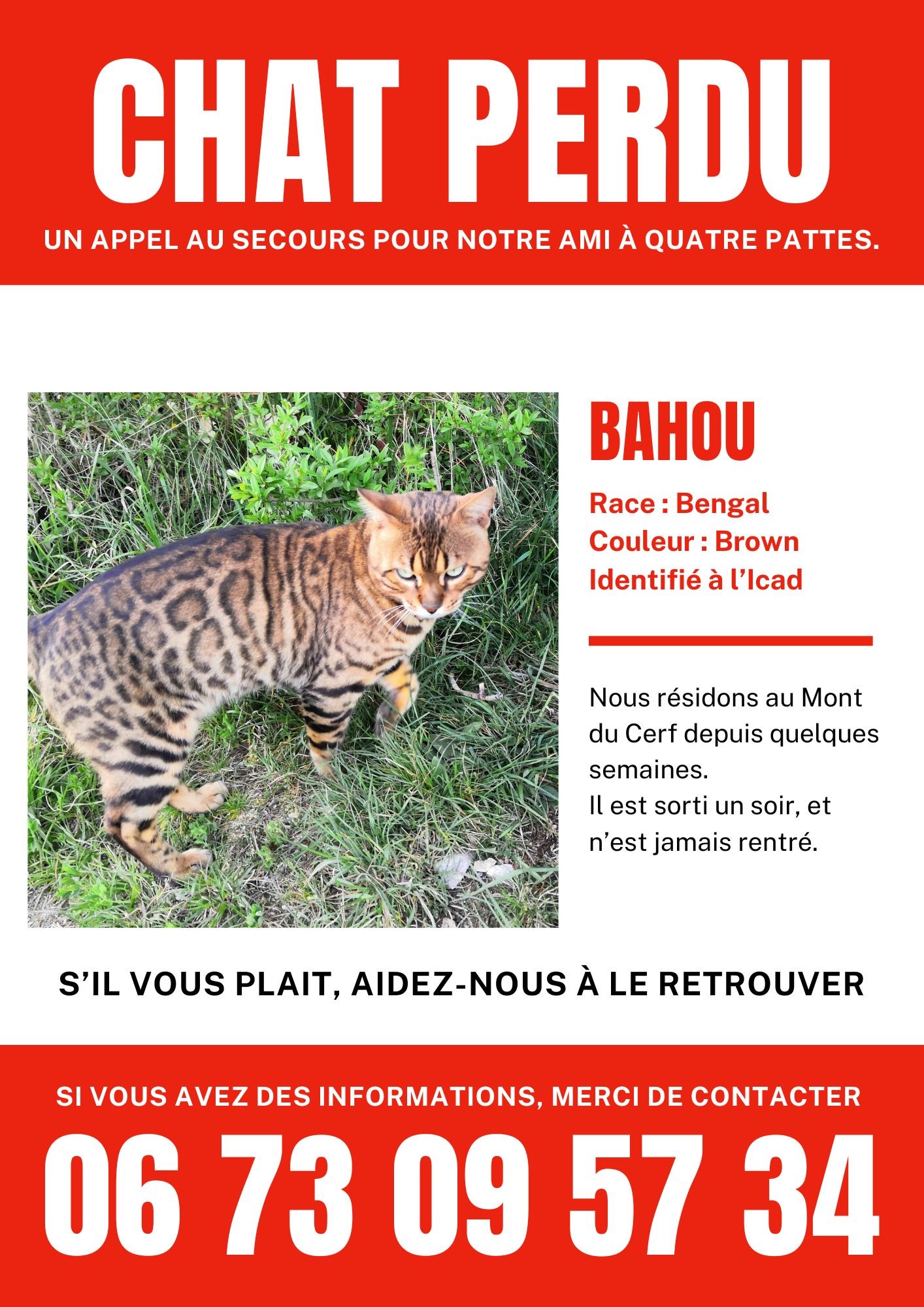 BAHOU_ChAT perdu.jpeg