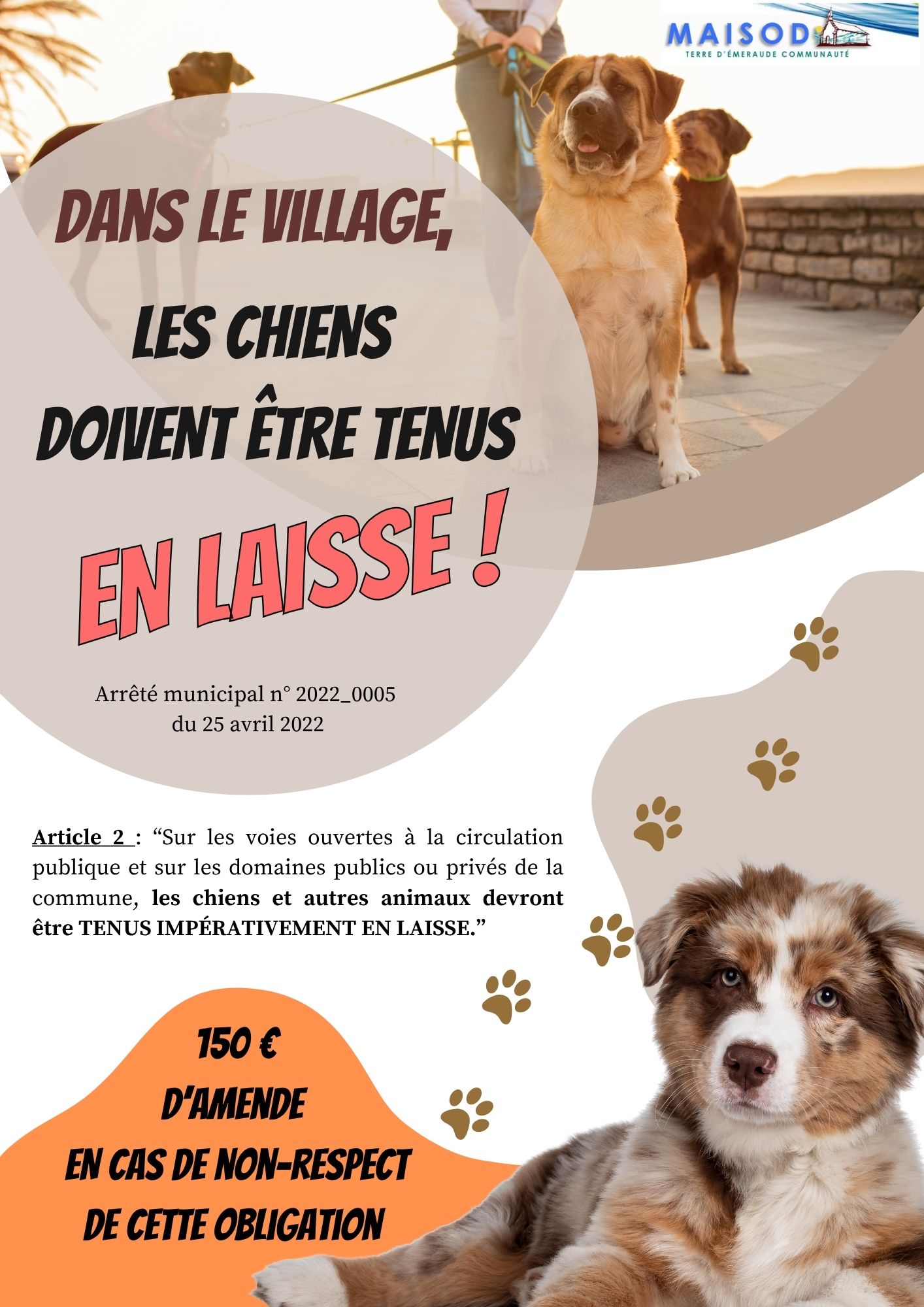 CHIENS_laisse.jpg