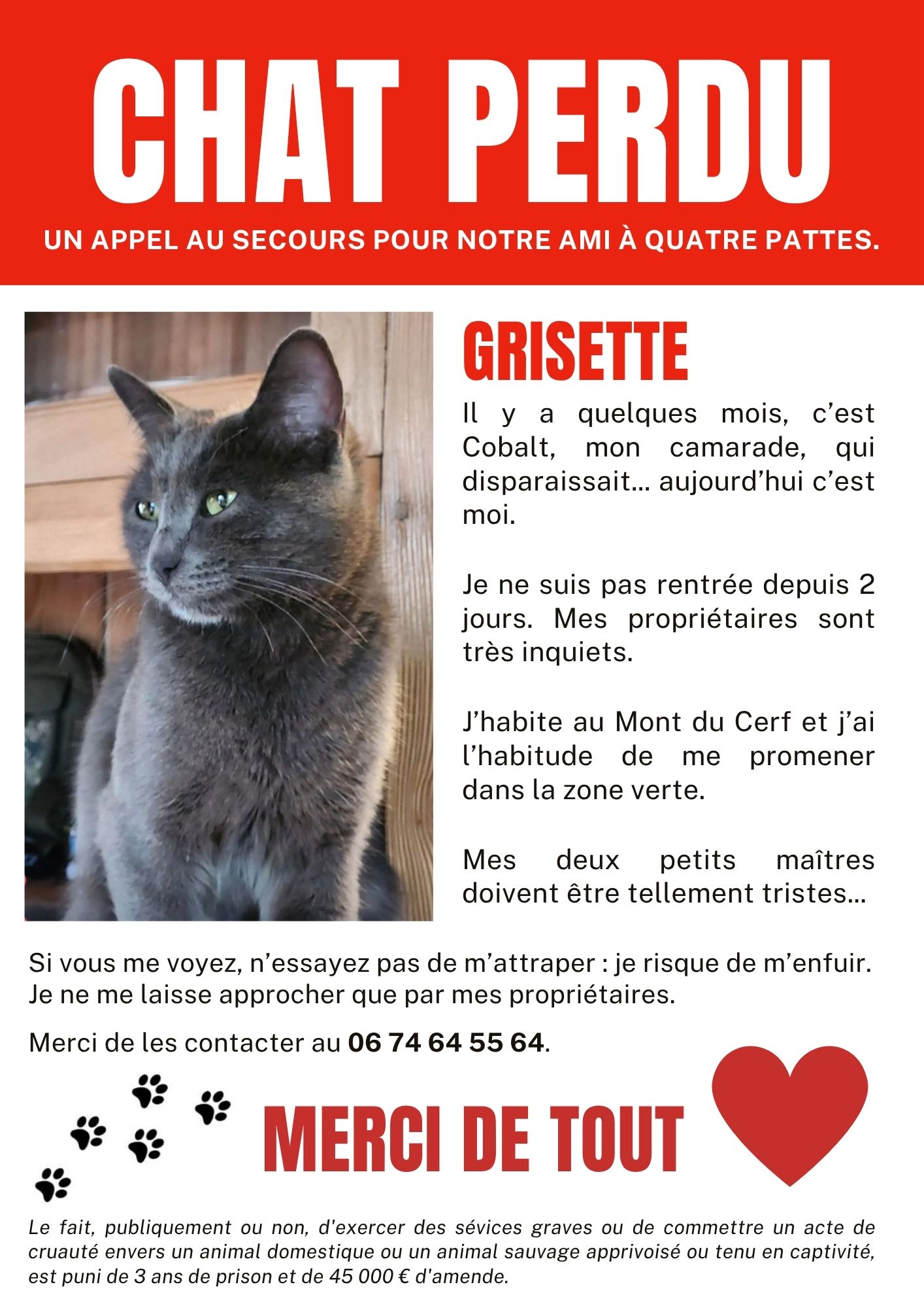 ChAT perdu (3).jpg