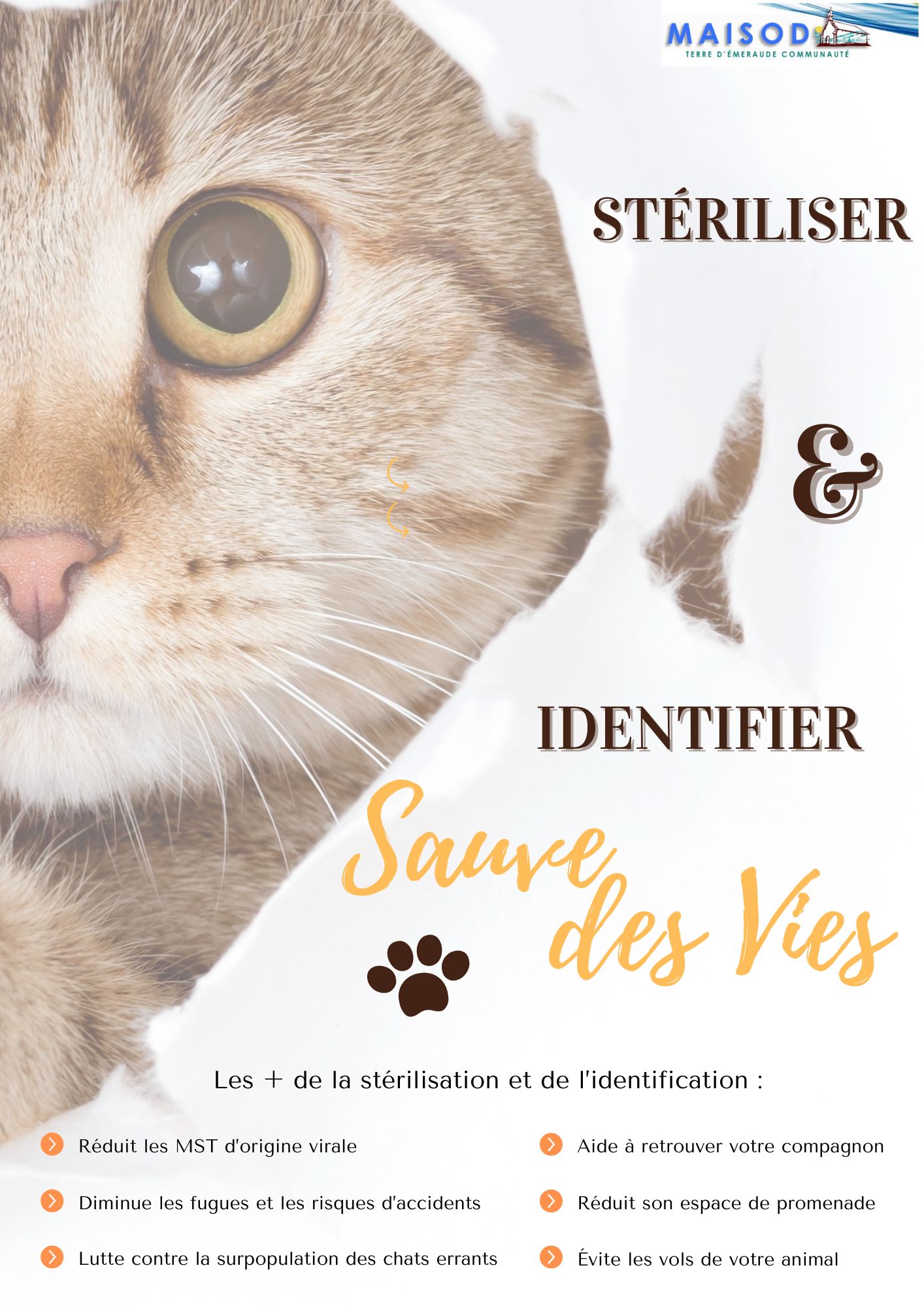 Stérilisation_Identification.jpg